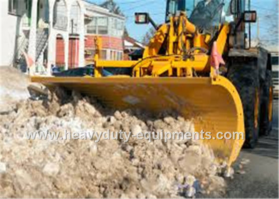 Porcellana la lama della neve dell'accoppiatore rapido con superamento degli ostacoli e 12200kg azionano il peso fornitore